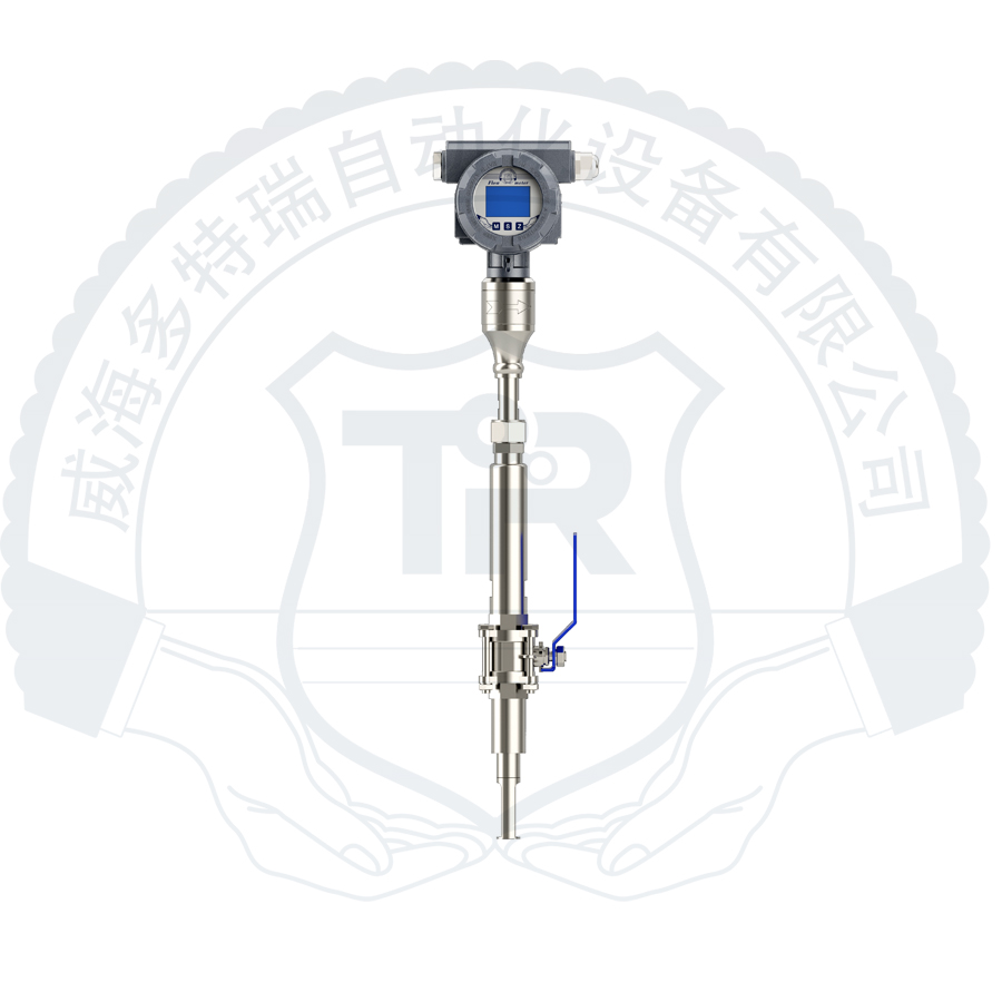 DTRTMF型热式气体质