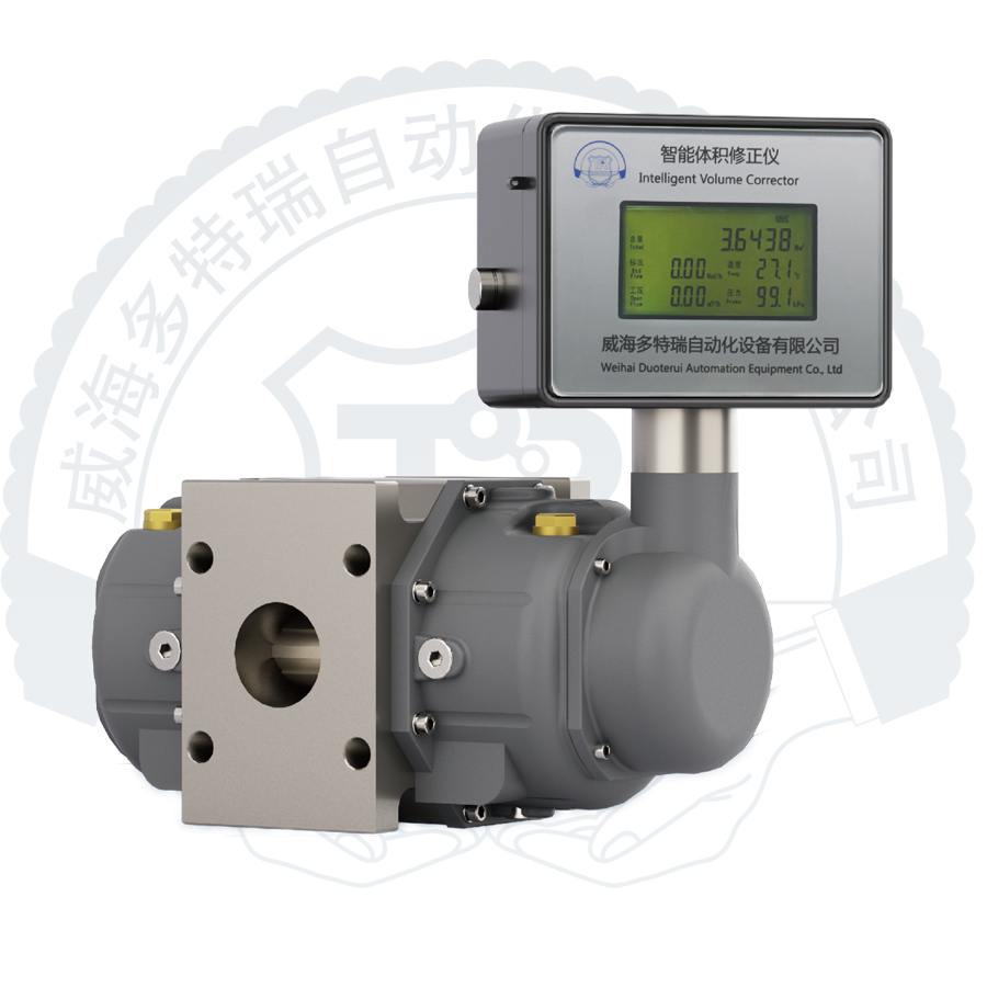 DTRLO型气体罗茨流量